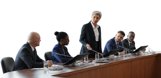 EmetSoft Government Solutions