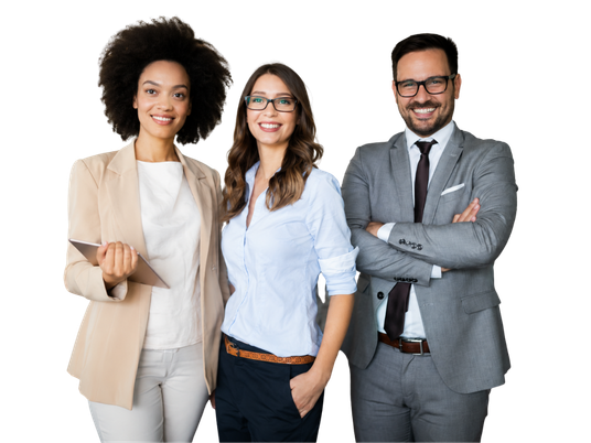 EmetSoft Government Solutions